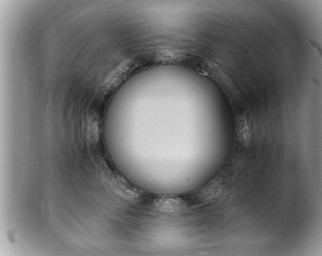 X0000101190716200807071315
