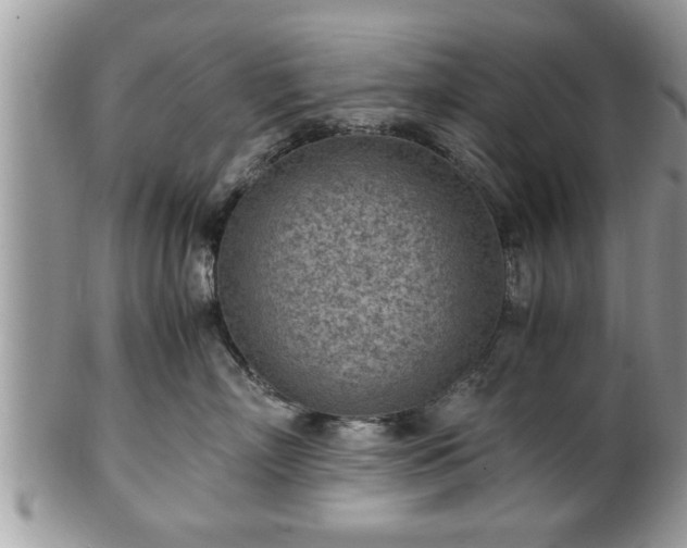X0000101190718200807071315