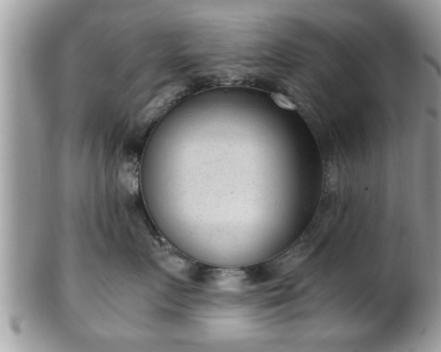 X0000101190719200807071315
