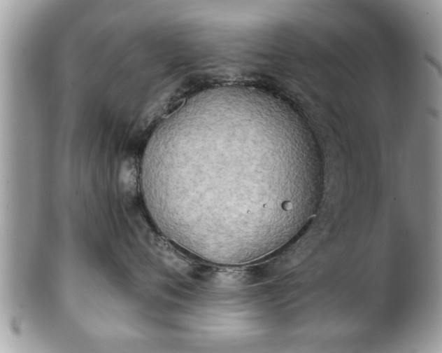 X0000101190720200807071314