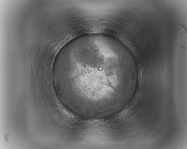 X0000101190721200807071314