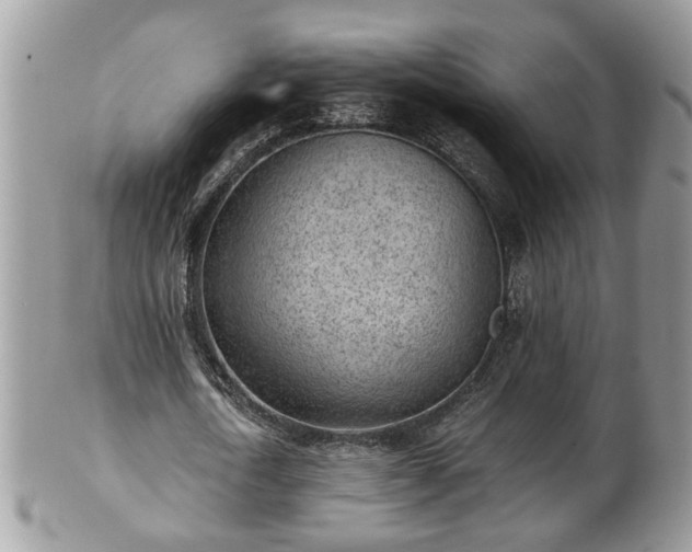 X0000101190722200807071314