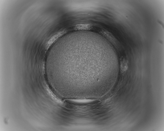 X0000101190725200807071314
