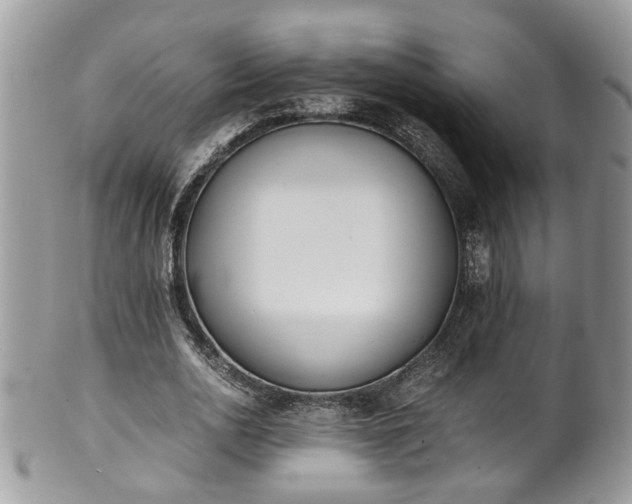 X0000101190726200807071314