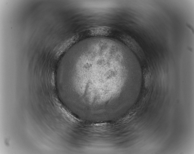 X0000101190729200807071314