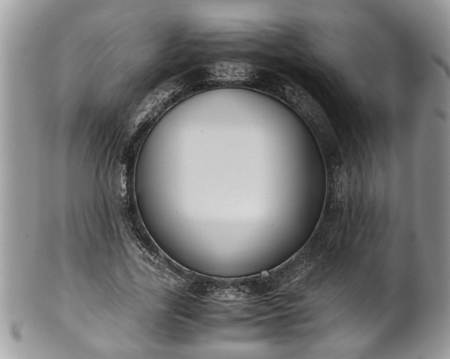 X0000101190731200807071314