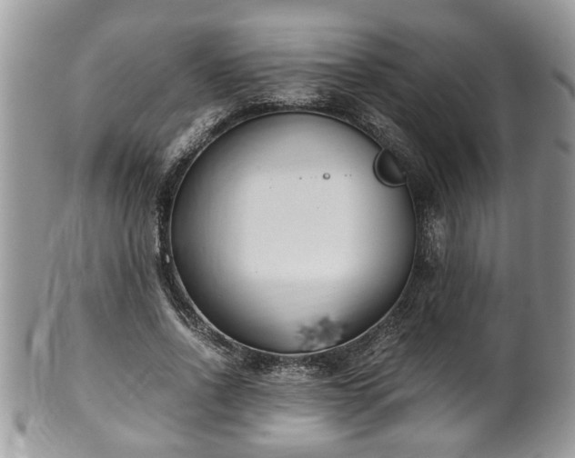 X0000101190734200807071314