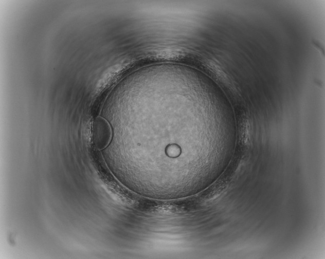 X0000101190736200807071314