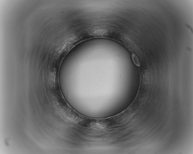 X0000101190739200807071314