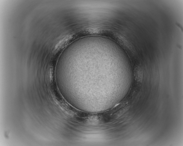 X0000101190740200807071314