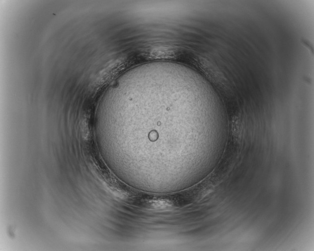 X0000101190741200807071314