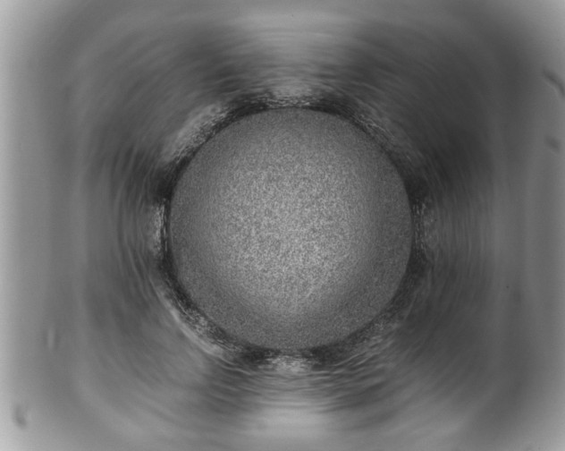 X0000101190742200807071314