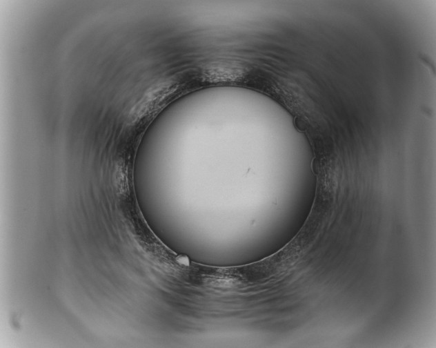 X0000101190743200807071314