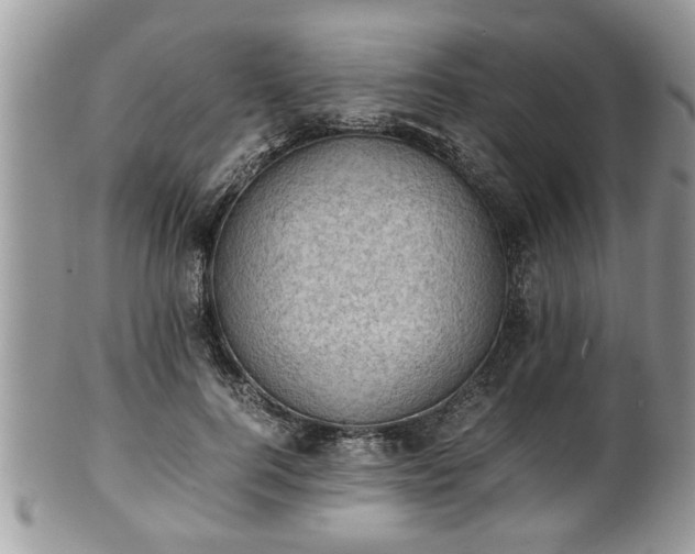 X0000101190744200807071314