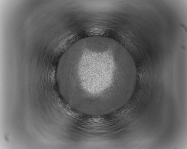 X0000101190745200807071314