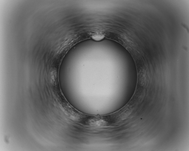X0000101190747200807071314