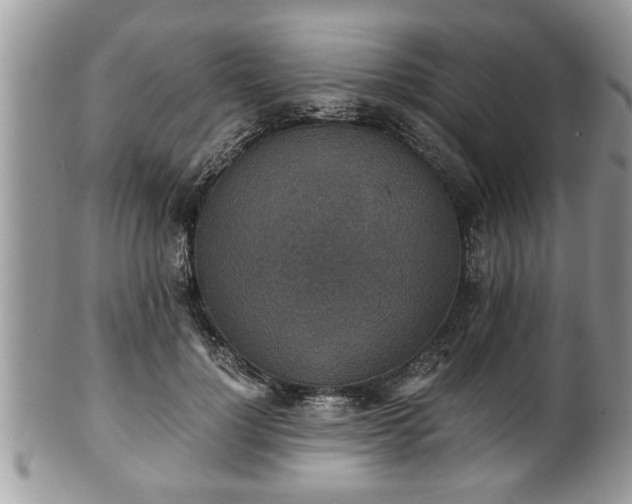 X0000101190748200807071314