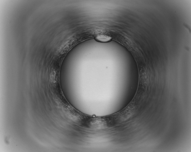 X0000101190750200807071314