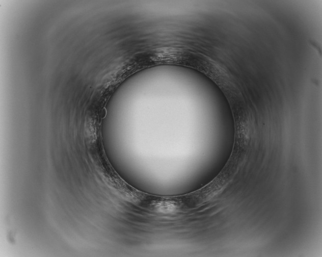 X0000101190751200807071314