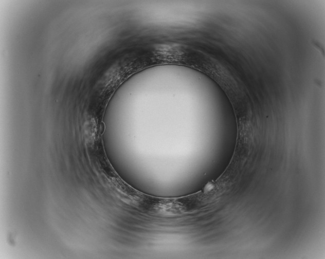 X0000101190752200807071314