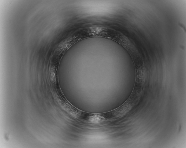 X0000101190754200807071314