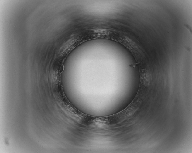 X0000101190756200807071314