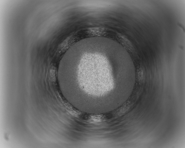 X0000101190757200807071314