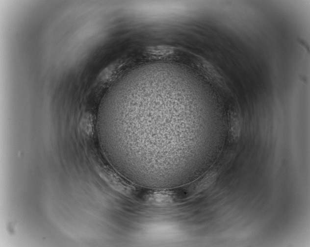 X0000101190758200807071314