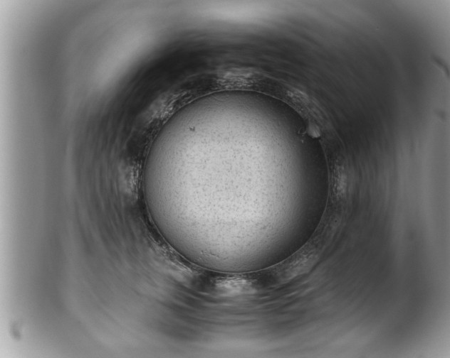 X0000101190759200807071314