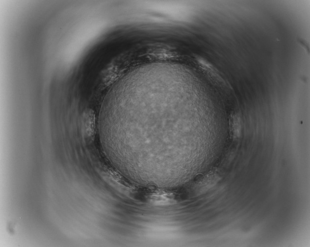 X0000101190760200807071314