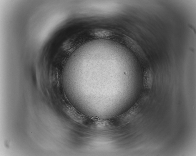X0000101190762200807071314