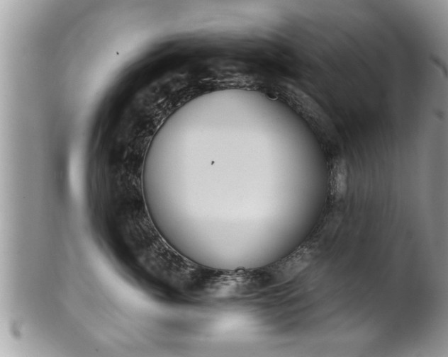 X0000101190764200807071314
