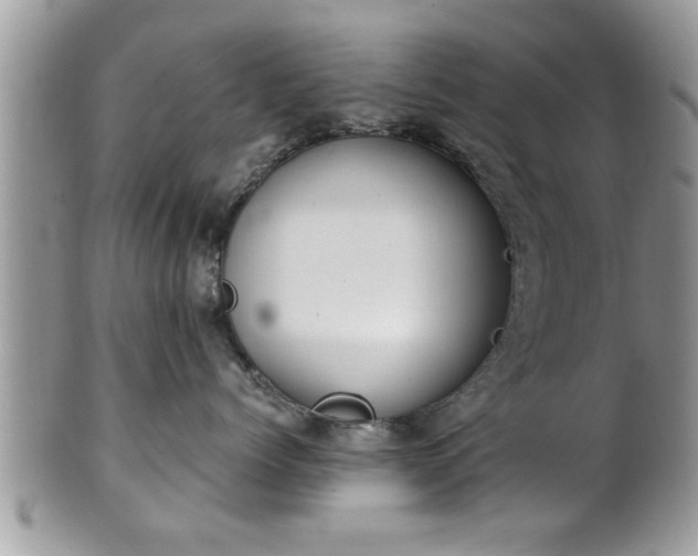 X0000101190768200807071314