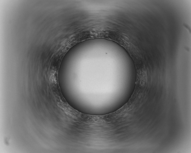 X0000101190770200807071314