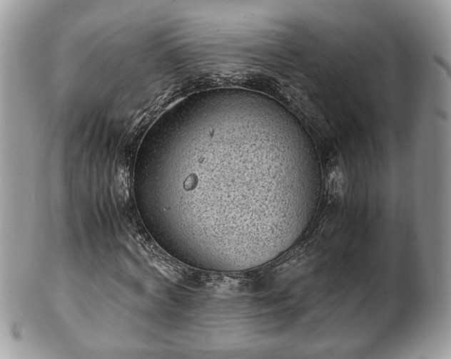 X0000101190772200807071314