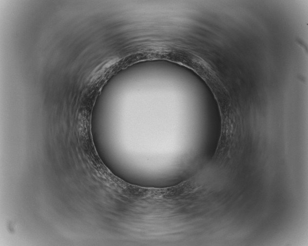 X0000101190773200807071314