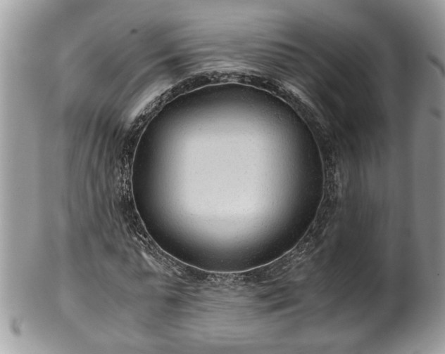X0000101190775200807071314