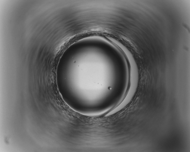X0000101190776200807071313