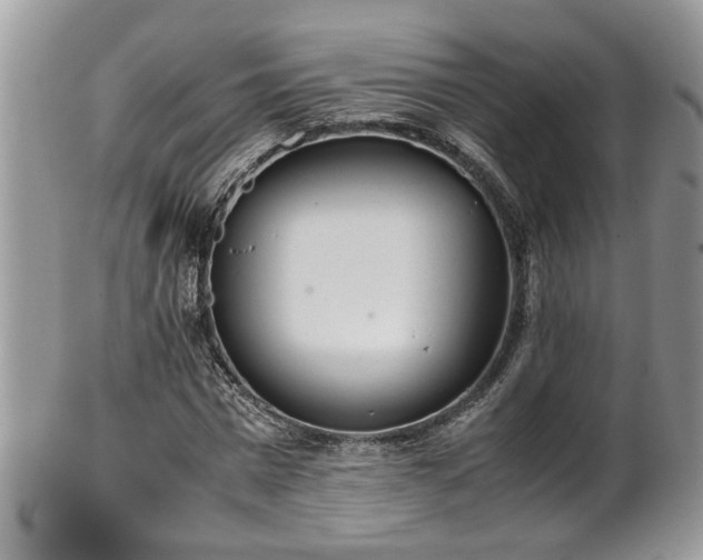 X0000101190777200807071313