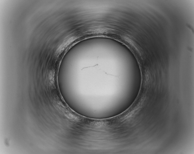 X0000101190778200807071313