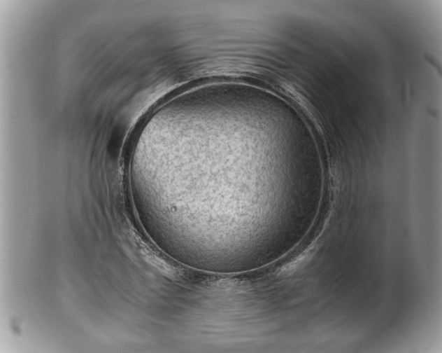X0000101190779200807071313