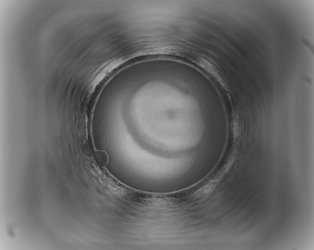 X0000101190781200807071313