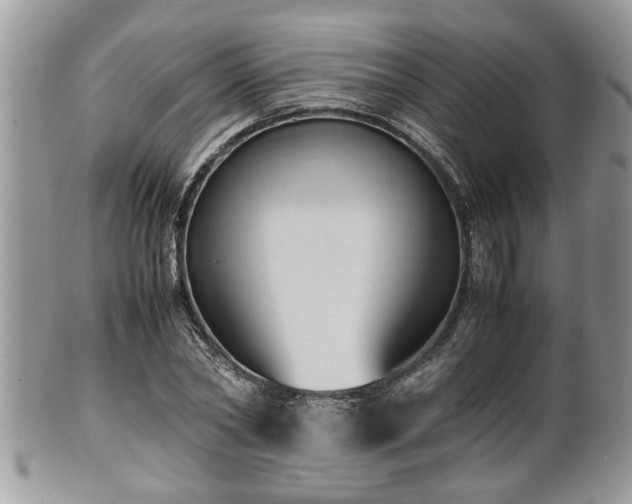 X0000101190782200807071313