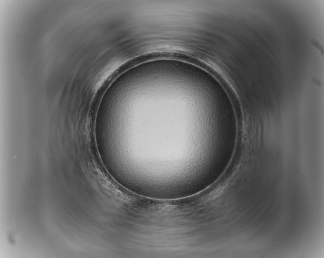 X0000101190783200807071313