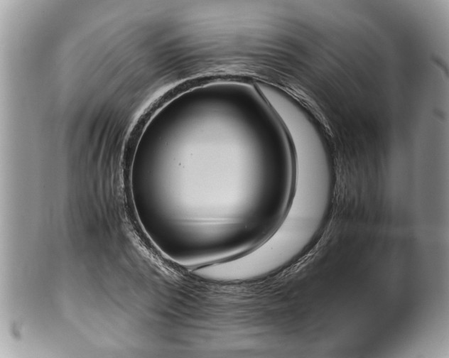 X0000101190784200807071313