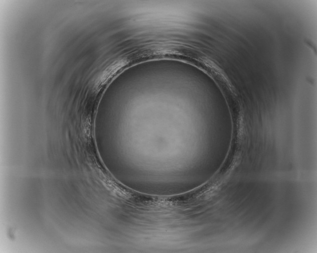 X0000101190785200807071313