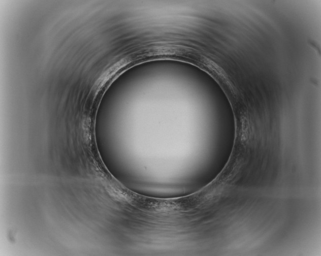 X0000101190786200807071313