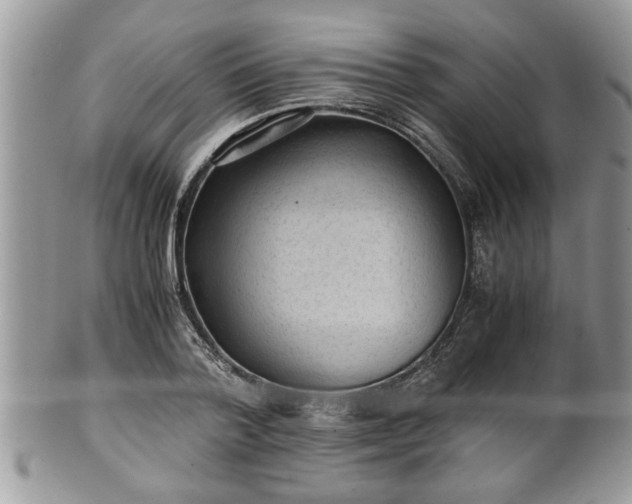 X0000101190788200807071313