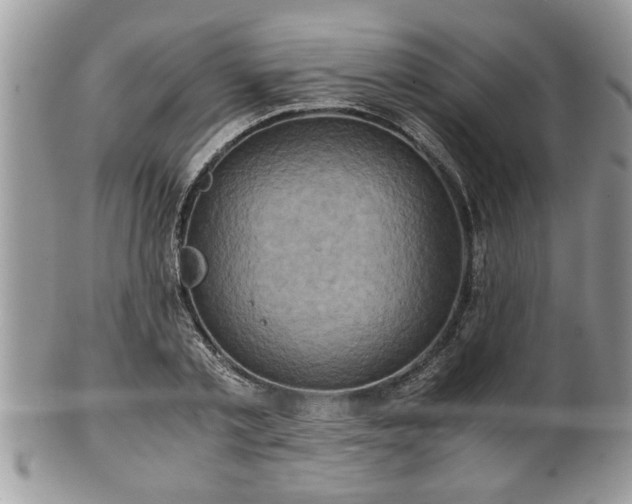 X0000101190789200807071313