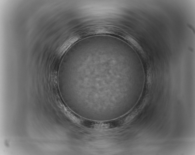 X0000101190793200807071313